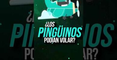 Los pingüinos vuelan: descubre el sorprendente secreto de estas aves acuáticas