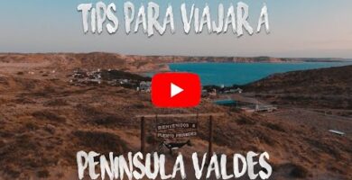 Guía: Punta Tombo - Cómo llegar fácilmente a este paraíso natural