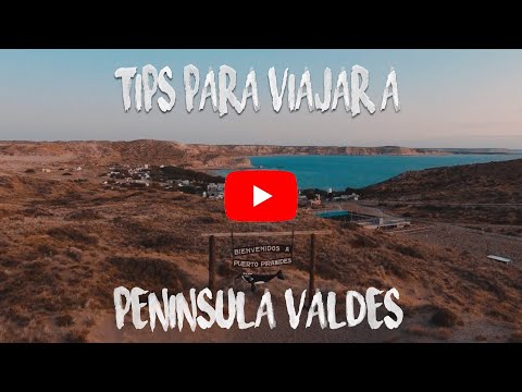 Guía: Punta Tombo - Cómo llegar fácilmente a este paraíso natural