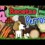 Descubre los mejores platos para pinguinos: ¡deliciosa comida para tu mascota!