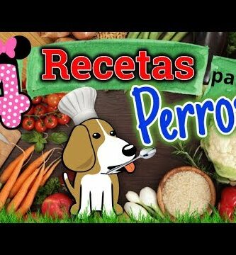 Descubre los mejores platos para pinguinos: ¡deliciosa comida para tu mascota!