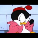 Pinguinos dibujos animados: ¡La diversión en tus pantallas!