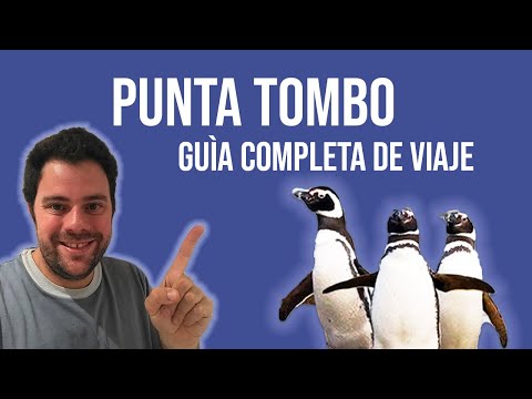 Punta Tombo: Descubre el turismo de naturaleza en Argentina