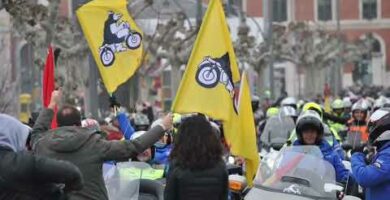 Descubre los encantadores pingüinos en Valladolid