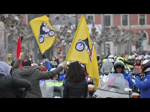 Descubre los encantadores pingüinos en Valladolid