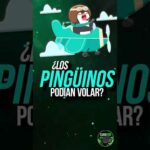 Pinguino Volador: Descubre la Sorprendente Habilidad de Vuelo de Estas Aves Marinas