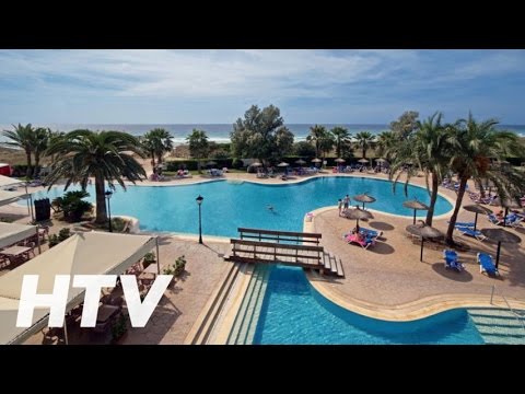 Hoteles Sol Milanos: Disfruta de los Pingüinos en Menorca